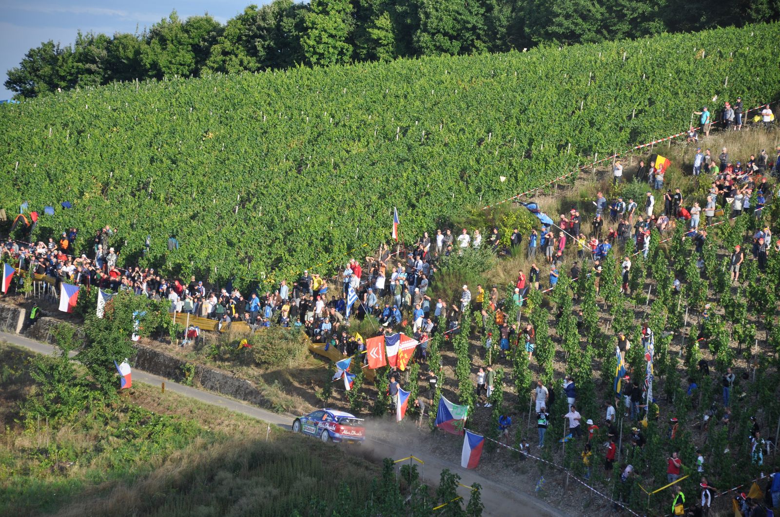 WRC-D 22-08-2010 091.jpg